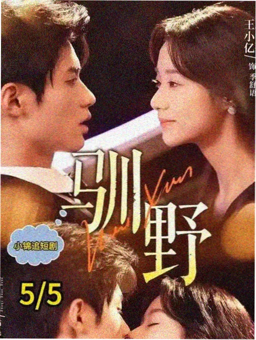 霓虹侦探社 手机端高清剧集在线